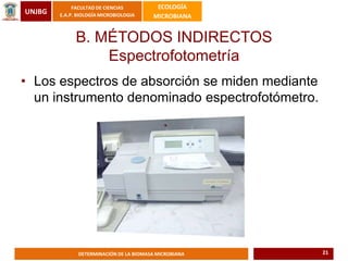 UNJBG
FACULTAD DE CIENCIAS
E.A.P. BIOLOGÍA MICROBIOLOGIA
ECOLOGÍA
MICROBIANA
DETERMINACIÓN DE LA BIOMASA MICROBIANA
• Los espectros de absorción se miden mediante
un instrumento denominado espectrofotómetro.
B. MÉTODOS INDIRECTOS
Espectrofotometría
21
 
