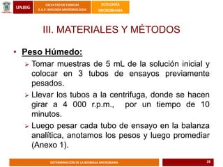 UNJBG
FACULTAD DE CIENCIAS
E.A.P. BIOLOGÍA MICROBIOLOGIA
ECOLOGÍA
MICROBIANA
DETERMINACIÓN DE LA BIOMASA MICROBIANA
III. MATERIALES Y MÉTODOS
• Peso Húmedo:
 Tomar muestras de 5 mL de la solución inicial y
colocar en 3 tubos de ensayos previamente
pesados.
 Llevar los tubos a la centrifuga, donde se hacen
girar a 4 000 r.p.m., por un tiempo de 10
minutos.
 Luego pesar cada tubo de ensayo en la balanza
analítica, anotamos los pesos y luego promediar
(Anexo 1).
28
 