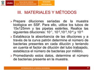 UNJBG
FACULTAD DE CIENCIAS
E.A.P. BIOLOGÍA MICROBIOLOGIA
ECOLOGÍA
MICROBIANA
DETERMINACIÓN DE LA BIOMASA MICROBIANA
III. MATERIALES Y MÉTODOS
 Prepare diluciones seriadas de la muestra
biológica en SSF. Para ello, utilice los tubos de
15x125mm y las pipetas estériles. Realice las
siguientes diluciones: 10-1, 10-2,10-3,10-4,y 10-5.
 Establezca la absorbancia de las diluciones y a
través de la curva patrón determine el número de
bacterias presentes en cada dilución y teniendo
en cuenta el factor de dilución del tubo trabajado,
establezca el número de bacterias por mililitro.
 Promediando estos datos, determine el número
de bacterias presente en la muestra.
37
 