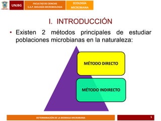UNJBG
FACULTAD DE CIENCIAS
E.A.P. BIOLOGÍA MICROBIOLOGIA
ECOLOGÍA
MICROBIANA
DETERMINACIÓN DE LA BIOMASA MICROBIANA
I. INTRODUCCIÓN
• Existen 2 métodos principales de estudiar
poblaciones microbianas en la naturaleza:
MÉTODO DIRECTO
MÉTODO INDIRECTO
5
 