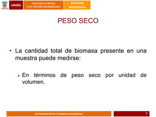 UNJBG
FACULTAD DE CIENCIAS
E.A.P. BIOLOGÍA MICROBIOLOGIA
ECOLOGÍA
MICROBIANA
DETERMINACIÓN DE LA BIOMASA MICROBIANA
• La cantidad total de biomasa presente en una
muestra puede medirse:
 En términos de peso seco por unidad de
volumen.
PESO SECO
9
 