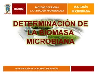 UNJBG
FACULTAD DE CIENCIAS
E.A.P. BIOLOGÍA MICROBIOLOGIA
ECOLOGÍA
MICROBIANA
DETERMINACIÓN DE LA BIOMASA MICROBIANA
DETERMINACIÓN DE
LA BIOMASA
MICROBIANA
1
 