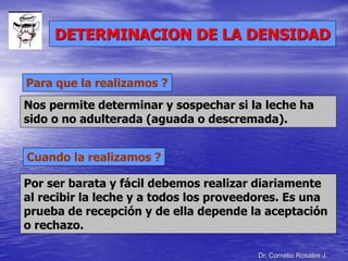 Dr. Cornelio Rosales J.
DETERMINACION DE LA DENSIDAD
Para que la realizamos ?
Nos permite determinar y sospechar si la leche ha
sido o no adulterada (aguada o descremada).
Cuando la realizamos ?
Por ser barata y fácil debemos realizar diariamente
al recibir la leche y a todos los proveedores. Es una
prueba de recepción y de ella depende la aceptación
o rechazo.
 