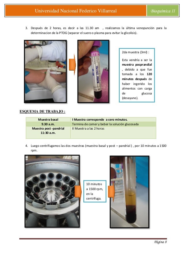 Determinacion de glucosa basal y posprandial Determinacion de glucosa basal y posprandial