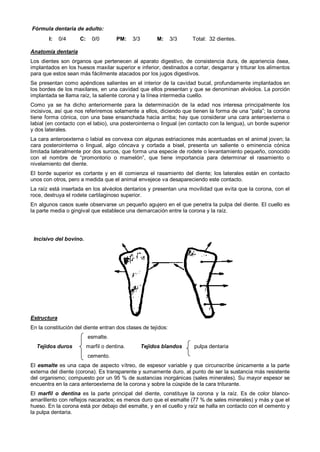 Determinacion de la edad del bovino | PDF