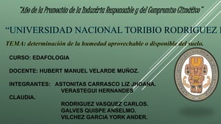 “Año de la Promoción de la Industria Responsable y del Compromiso Climático"
CURSO: EDAFOLOGIA
DOCENTE: HUBERT MANUEL VELARDE MUÑOZ.
INTEGRANTES: ASTONITAS CARRASCO LIZ JHOANA.
VERASTEGUI HERNANDES
CLAUDIA.
RODRIGUEZ VASQUEZ CARLOS.
GALVES QUISPE ANSELMO.
VILCHEZ GARCIA YORK ANDER.
 