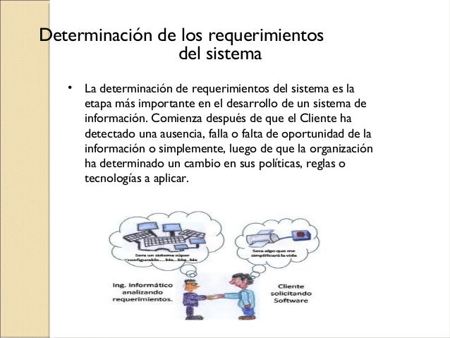 Determinación de los requerimientos