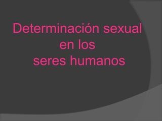 Determinación sexual
en los
seres humanos
 