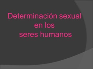 Determinación sexual
en los
seres humanos
 