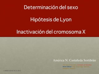 Determinación del sexo
                            
                    Hipótesis de Lyon
                            
              Inactivación del cromosoma X




                             América N. Castañeda Sortibrán
                                   Con base en el libro: Concepts of Genetics
                                   Ninth Edition Clug, Cummings, Spencer,
                                   Palladino. Pearson.
CIBER-GENÉTICA 2013
 