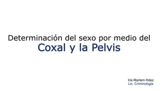 Determinación del sexo por medio del
Coxal y la Pelvis
Iris Marlem Hdez
Lic. Criminología
 