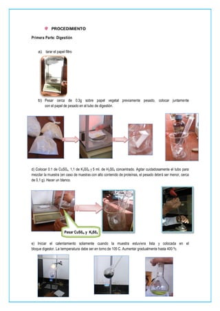 PROCEDIMIENTO
Primera Parte: Digestión
a) tarar el papel filtro
b) Pesar cerca de 0.3g sobre papel vegetal previamente pesado, colocar juntamente
con el papel de pesado en el tubo de digestión.
d) Colocar 0.1 de CuS04, 1,1 de K2S04 y 5 ml. de H2S04 concentrado. Agitar cuidadosamente el tubo para
mezclar la muestra (en caso de muestras con alto contenido de proteínas, el pesado deberá ser menor, cerca
de 0,1 g). Hacer un blanco.
e) Iniciar el calentamiento solamente cuando la muestra estuviera lista y colocada en el
bloque digestor. La temperatura debe ser en torno de 105·C. Aumentar gradualmente hasta 400 ºc.
Pesar CuS04, y K2S04
 