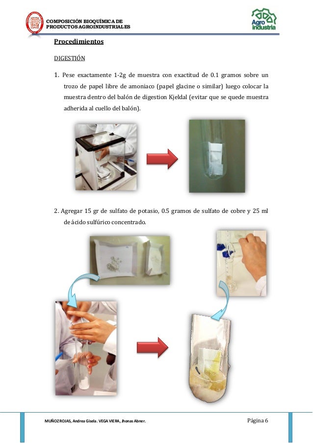 Determinacion de proteinas metodo kjeldahl