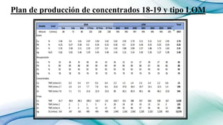 DETERMINACION LEY CUT OFF DE RAURA final m (1).pptx