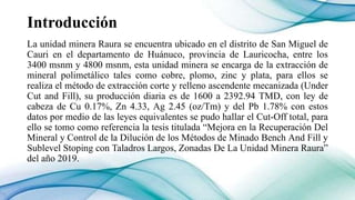 DETERMINACION LEY CUT OFF DE RAURA final m (1).pptx