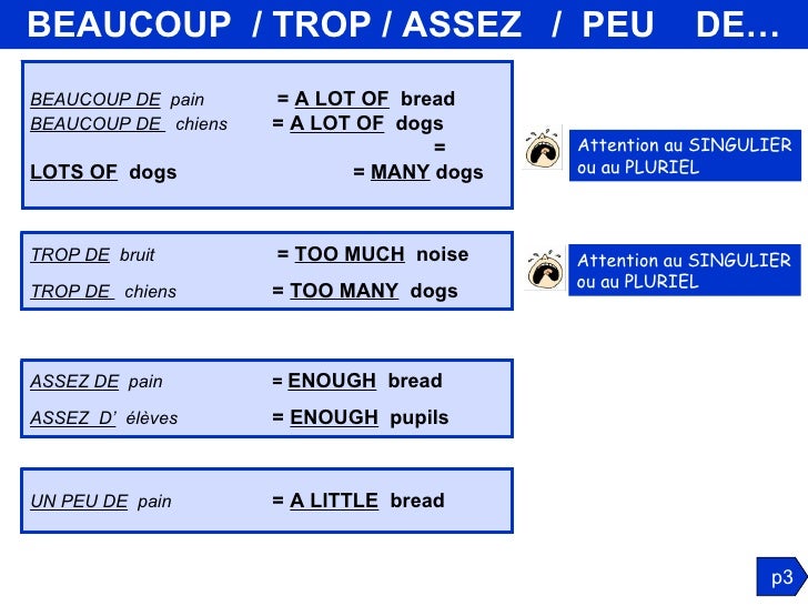 Exercices Sur Les Quantifieurs En Anglais Pdf