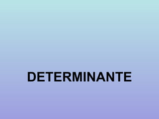 DETERMINANTE
 