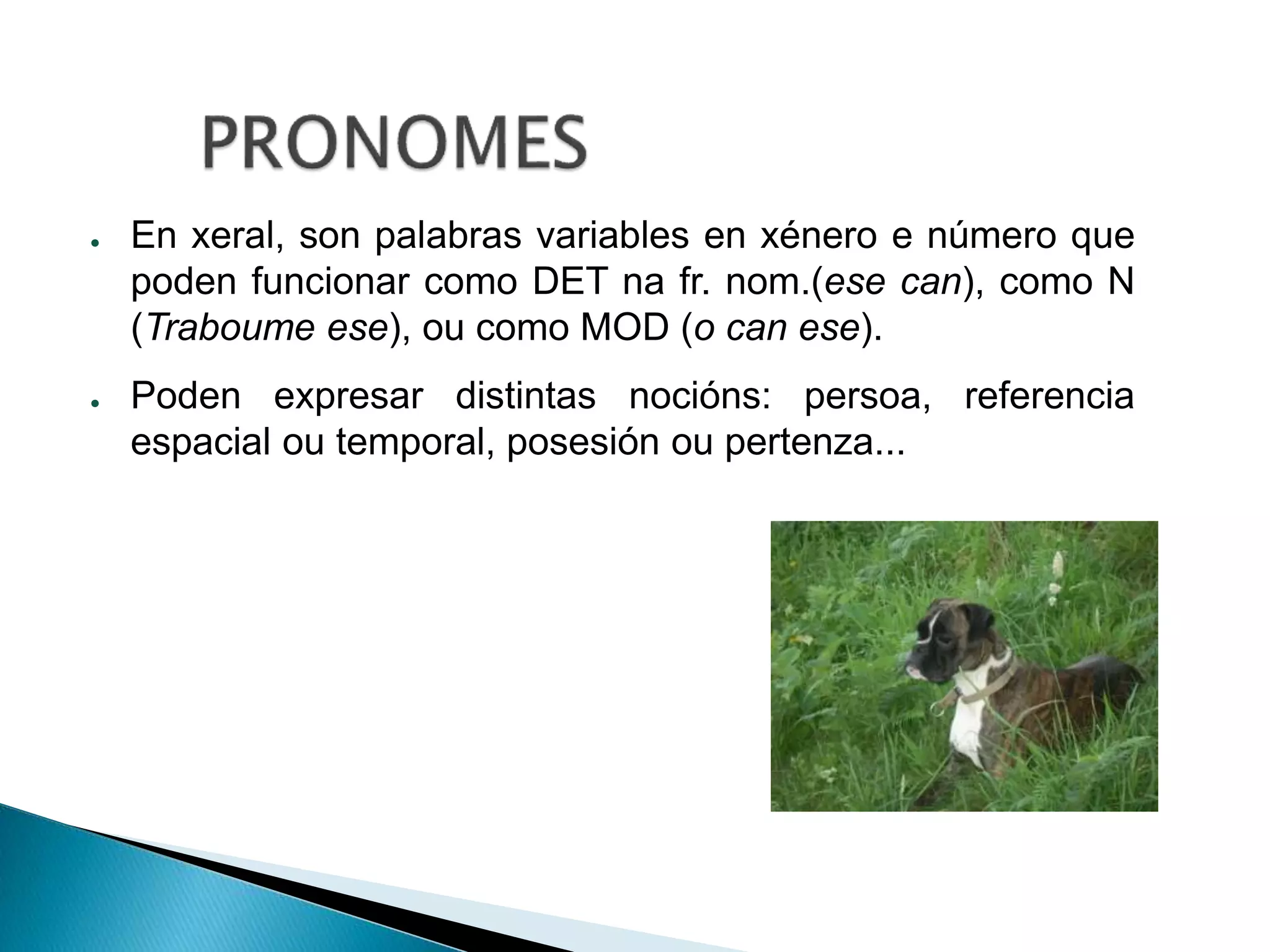 ● En xeral, son palabras variables en xénero e número que 
poden funcionar como DET na fr. nom.(ese can), como N 
(Traboume ese), ou como MOD (o can ese). 
● Poden expresar distintas nocións: persoa, referencia 
espacial ou temporal, posesión ou pertenza... 
 