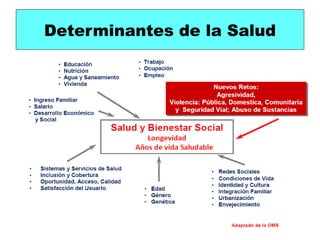 Determinantes de la Salud
 
