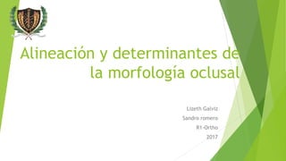 Alineación y determinantes de
la morfología oclusal
Lizeth Galviz
Sandro romero
R1-Ortho
2017
 