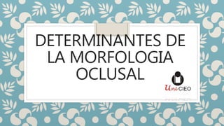 DETERMINANTES DE
LA MORFOLOGIA
OCLUSAL
 