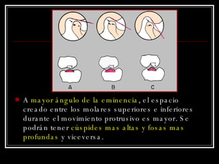 A  mayor ángulo de la eminencia , el espacio creado entre los molares superiores e inferiores durante el movimiento protrusivo es mayor. Se podrán tener  cúspides mas altas y fosas mas profundas  y viceversa. 