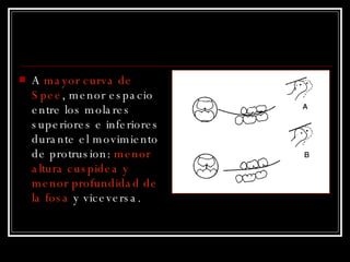 A  mayor curva de Spee , menor espacio entre los molares superiores e inferiores durante el movimiento de protrusion:  menor altura cuspidea y menor profundidad de la fosa  y viceversa. 