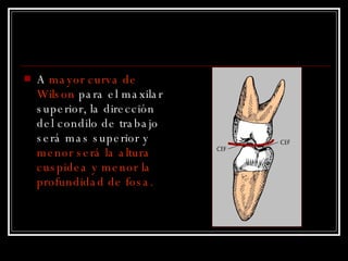 A  mayor curva de Wilson  para el maxilar superior, la dirección del condilo de trabajo será mas superior y  menor será la altura cuspidea y menor la profundidad de fosa. 
