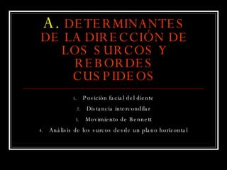A.   DETERMINANTES DE LA DIRECCIÓN DE LOS SURCOS Y REBORDES CUSPIDEOS Posición facial del diente Distancia intercondilar Movimiento de Bennett Análisis de los surcos desde un plano horizontal 