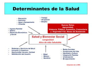 Determinantes de la Salud
 