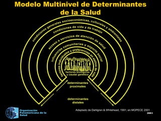 2004
Organización
Panamericana de la
Salud
Modelo Multinivel de Determinantes
de la Salud
Adaptado de Dahlgren & Whitehead, 1991; en MOPECE 2001
 
