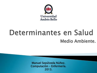 Medio Ambiente.
Manuel Sepúlveda Núñez.
Computación – Enfermería.
2013.
 