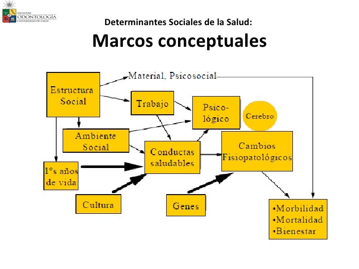 Determinantes de la salud