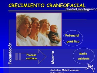 J M V Jackeline Mulett Vásquez. Odontóloga CRECIMIENTO CRANEOFACIAL   Control morfogénico Potencial  genético Medio  ambiente Proceso continuo Fecundación Muerte 