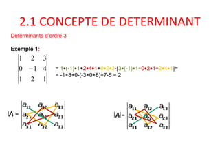 2.1 CONCEPTE DE DETERMINANT
Determinants d’ordre 3
Exemple 1:
121
410
321
− = 1•(-1)•1+2•4•1+0•2•3-[3•(-1)•1+0•2•1+2•4•1]=
= -1+8+0-(-3+0+8)=7-5 = 2
 