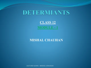 LECTURE SLIDES - MISHAL CHAUHAN
MISHAL CHAUHAN
CLASS 12
MODULE - 1
 