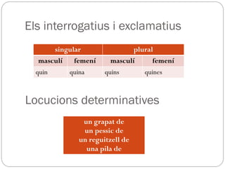 Els interrogatius i exclamatius
singular plural
masculí femení masculí femení
quin quina quins quines
Locucions determinatives
un grapat de
un pessic de
un reguitzell de
una pila de
 