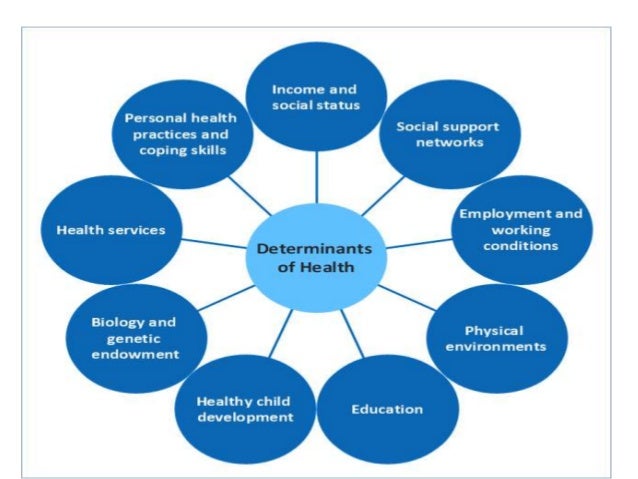 DETERMINANTS OF HEALTH determinants-of-health