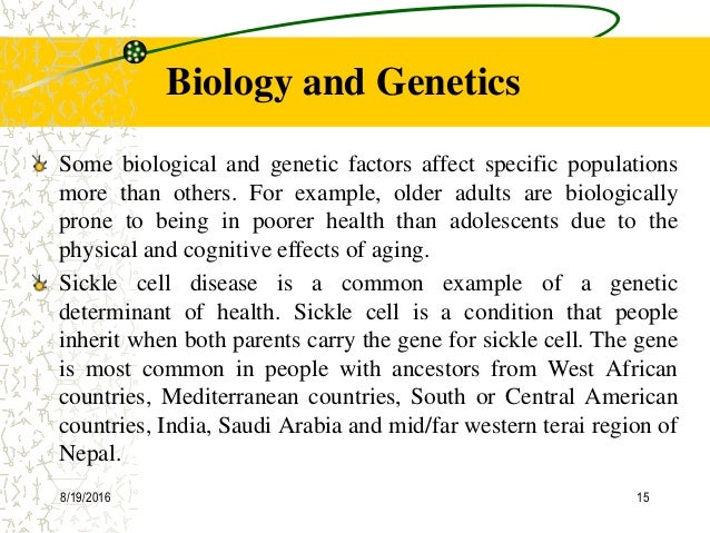 Biological Determinants Of Behaviour Essay