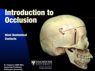 Introduction to
Occlusion
Ideal Anatomical
Contacts




B. Cleghorn DMD MSc
Associate Professor
Dalhousie University
 