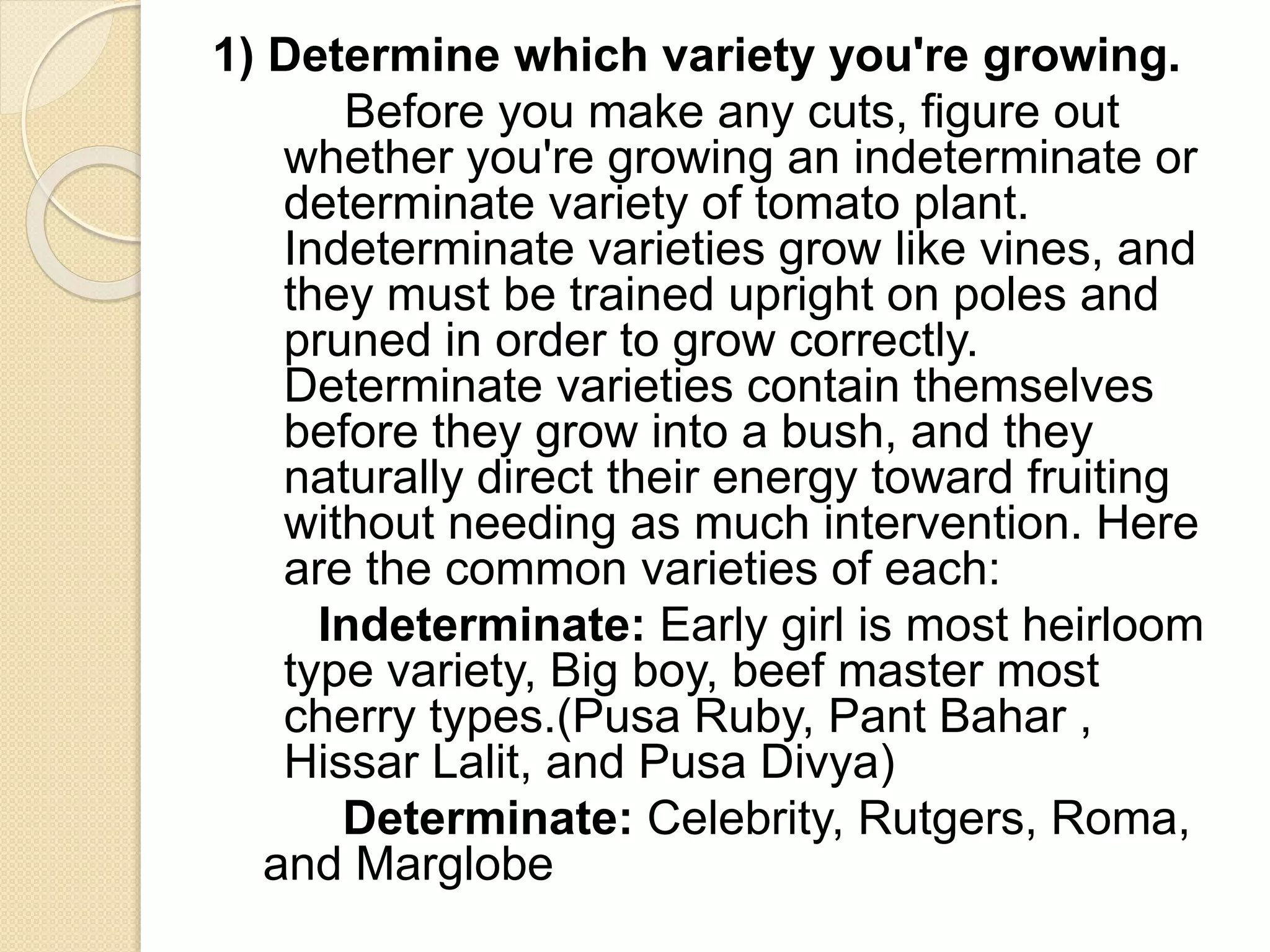 1) Determine which variety you're growing.
Before you make any cuts, figure out
whether you're growing an indeterminate or
determinate variety of tomato plant.
Indeterminate varieties grow like vines, and
they must be trained upright on poles and
pruned in order to grow correctly.
Determinate varieties contain themselves
before they grow into a bush, and they
naturally direct their energy toward fruiting
without needing as much intervention. Here
are the common varieties of each:
Indeterminate: Early girl is most heirloom
type variety, Big boy, beef master most
cherry types.(Pusa Ruby, Pant Bahar ,
Hissar Lalit, and Pusa Divya)
Determinate: Celebrity, Rutgers, Roma,
and Marglobe
 