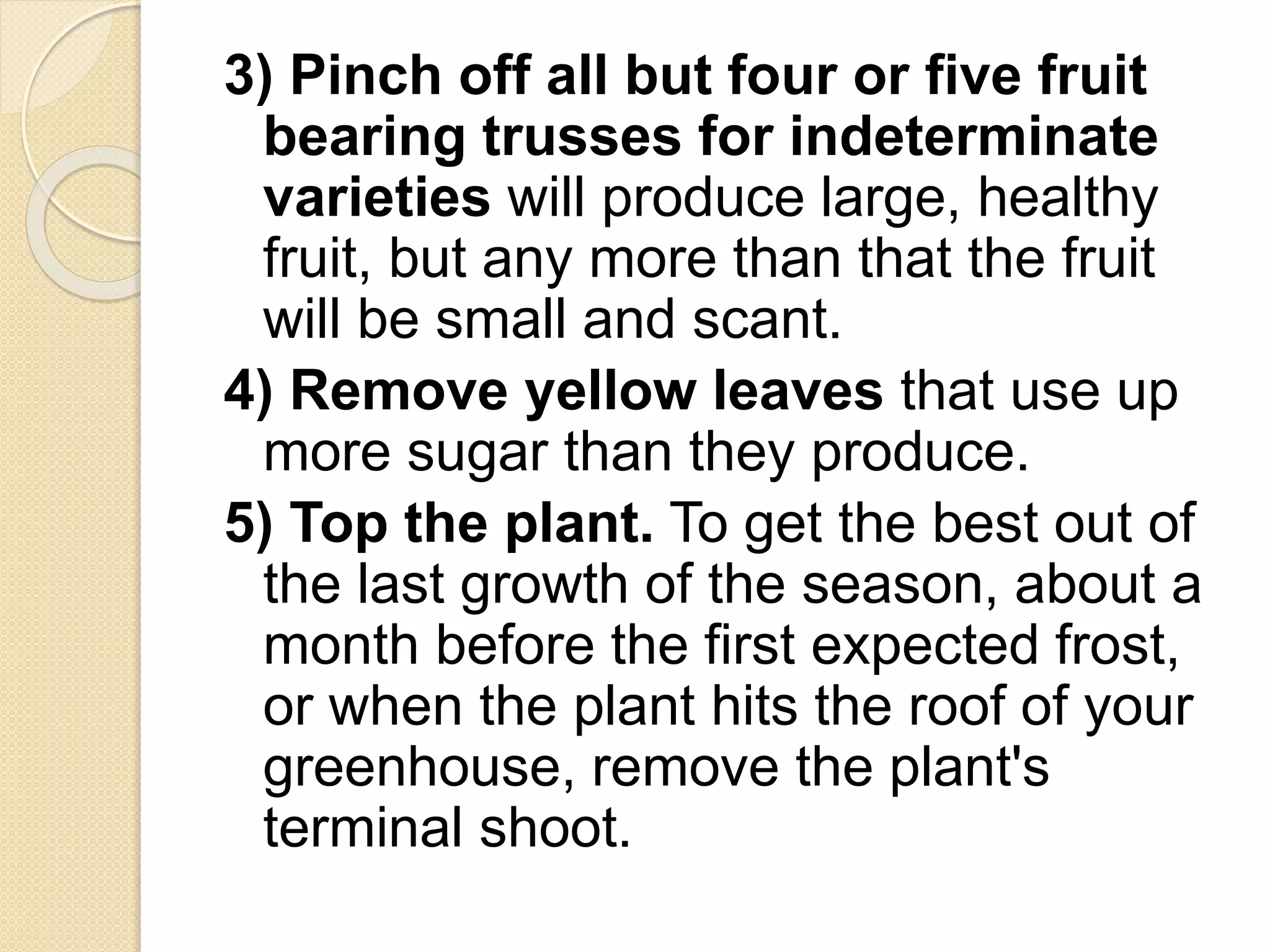 3) Pinch off all but four or five fruit
bearing trusses for indeterminate
varieties will produce large, healthy
fruit, but any more than that the fruit
will be small and scant.
4) Remove yellow leaves that use up
more sugar than they produce.
5) Top the plant. To get the best out of
the last growth of the season, about a
month before the first expected frost,
or when the plant hits the roof of your
greenhouse, remove the plant's
terminal shoot.
 