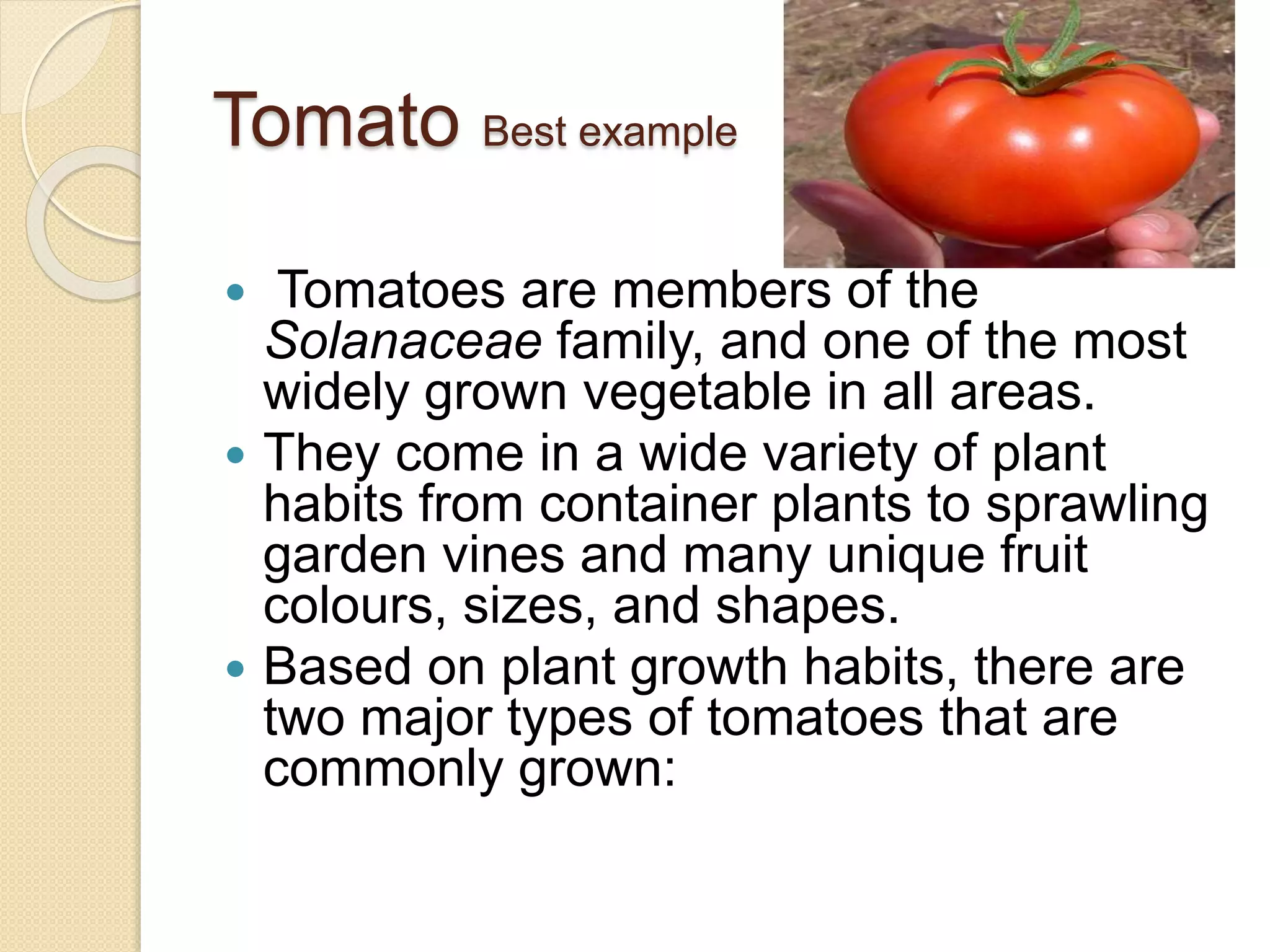Tomato Best example
 Tomatoes are members of the
Solanaceae family, and one of the most
widely grown vegetable in all areas.
 They come in a wide variety of plant
habits from container plants to sprawling
garden vines and many unique fruit
colours, sizes, and shapes.
 Based on plant growth habits, there are
two major types of tomatoes that are
commonly grown:
 