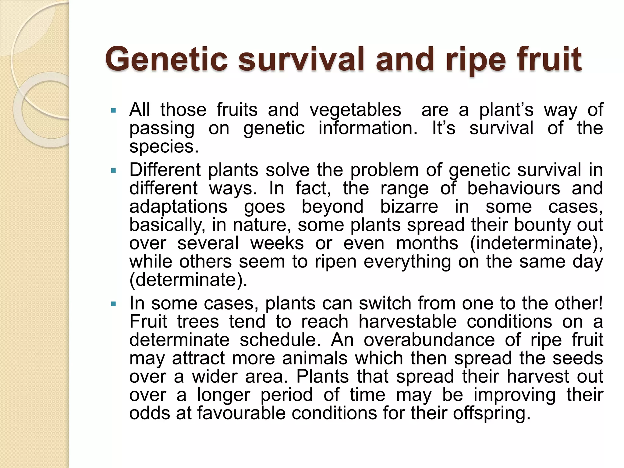 Genetic survival and ripe fruit
 All those fruits and vegetables are a plant’s way of
passing on genetic information. It’s survival of the
species.
 Different plants solve the problem of genetic survival in
different ways. In fact, the range of behaviours and
adaptations goes beyond bizarre in some cases,
basically, in nature, some plants spread their bounty out
over several weeks or even months (indeterminate),
while others seem to ripen everything on the same day
(determinate).
 In some cases, plants can switch from one to the other!
Fruit trees tend to reach harvestable conditions on a
determinate schedule. An overabundance of ripe fruit
may attract more animals which then spread the seeds
over a wider area. Plants that spread their harvest out
over a longer period of time may be improving their
odds at favourable conditions for their offspring.
 
