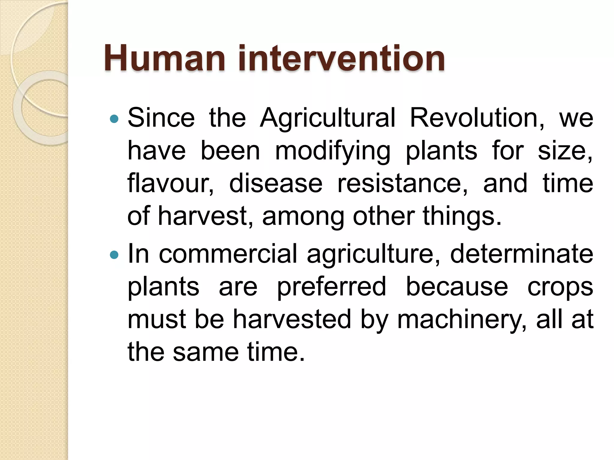 Human intervention
 Since the Agricultural Revolution, we
have been modifying plants for size,
flavour, disease resistance, and time
of harvest, among other things.
 In commercial agriculture, determinate
plants are preferred because crops
must be harvested by machinery, all at
the same time.
 