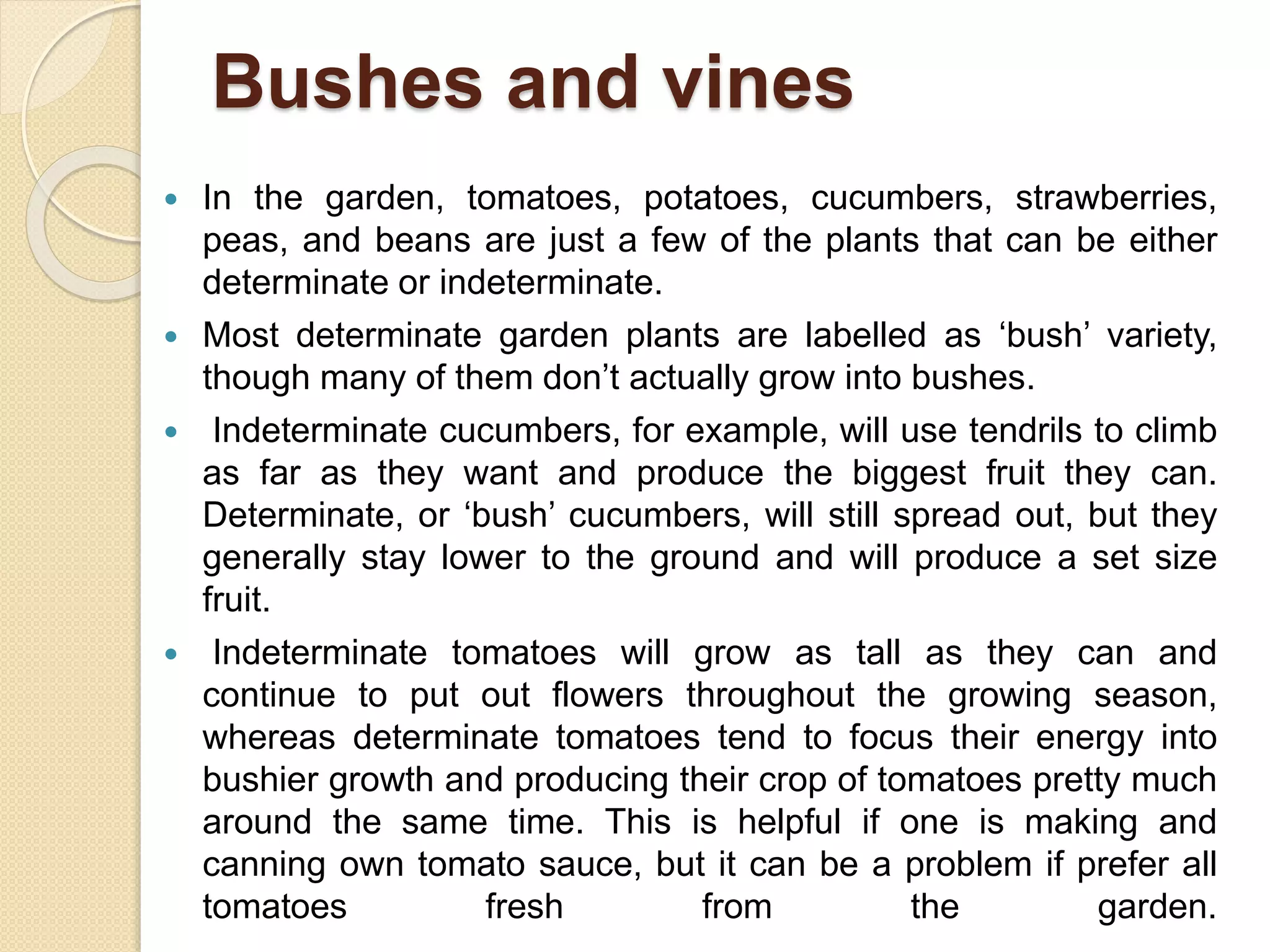 Bushes and vines
 In the garden, tomatoes, potatoes, cucumbers, strawberries,
peas, and beans are just a few of the plants that can be either
determinate or indeterminate.
 Most determinate garden plants are labelled as ‘bush’ variety,
though many of them don’t actually grow into bushes.
 Indeterminate cucumbers, for example, will use tendrils to climb
as far as they want and produce the biggest fruit they can.
Determinate, or ‘bush’ cucumbers, will still spread out, but they
generally stay lower to the ground and will produce a set size
fruit.
 Indeterminate tomatoes will grow as tall as they can and
continue to put out flowers throughout the growing season,
whereas determinate tomatoes tend to focus their energy into
bushier growth and producing their crop of tomatoes pretty much
around the same time. This is helpful if one is making and
canning own tomato sauce, but it can be a problem if prefer all
tomatoes fresh from the garden.
 