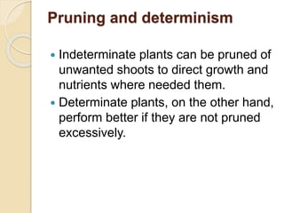 Pruning and determinism
 Indeterminate plants can be pruned of
unwanted shoots to direct growth and
nutrients where needed them.
 Determinate plants, on the other hand,
perform better if they are not pruned
excessively.
 