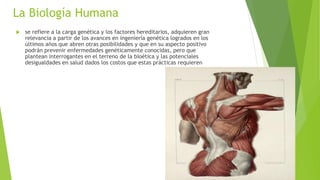 La Biología Humana
 se refiere a la carga genética y los factores hereditarios, adquieren gran
relevancia a partir de los avances en ingeniería genética logrados en los
últimos años que abren otras posibilidades y que en su aspecto positivo
podrán prevenir enfermedades genéticamente conocidas, pero que
plantean interrogantes en el terreno de la bioética y las potenciales
desigualdades en salud dados los costos que estas prácticas requieren
 