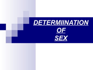 DETERMIINATION
OF
SEX
 