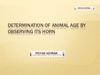 DETERMINATION OF ANIMAL AGE BY
OBSERVING ITS HORN
 